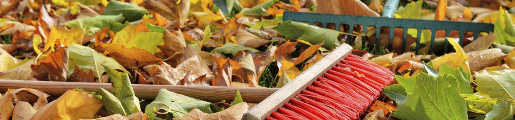 Besen und Rechen im Laub